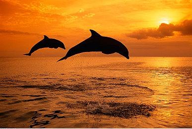 《战地5》将于4月3日实装EA反作弊系统